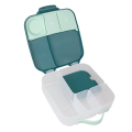 lunchbox bbox emerald forest - 5.png